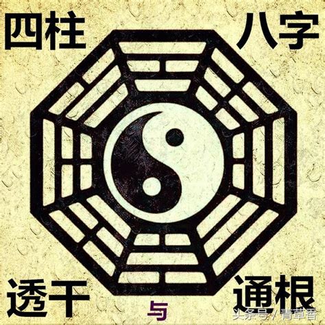 八字 透干|如何理解透干与通根(建议收藏)